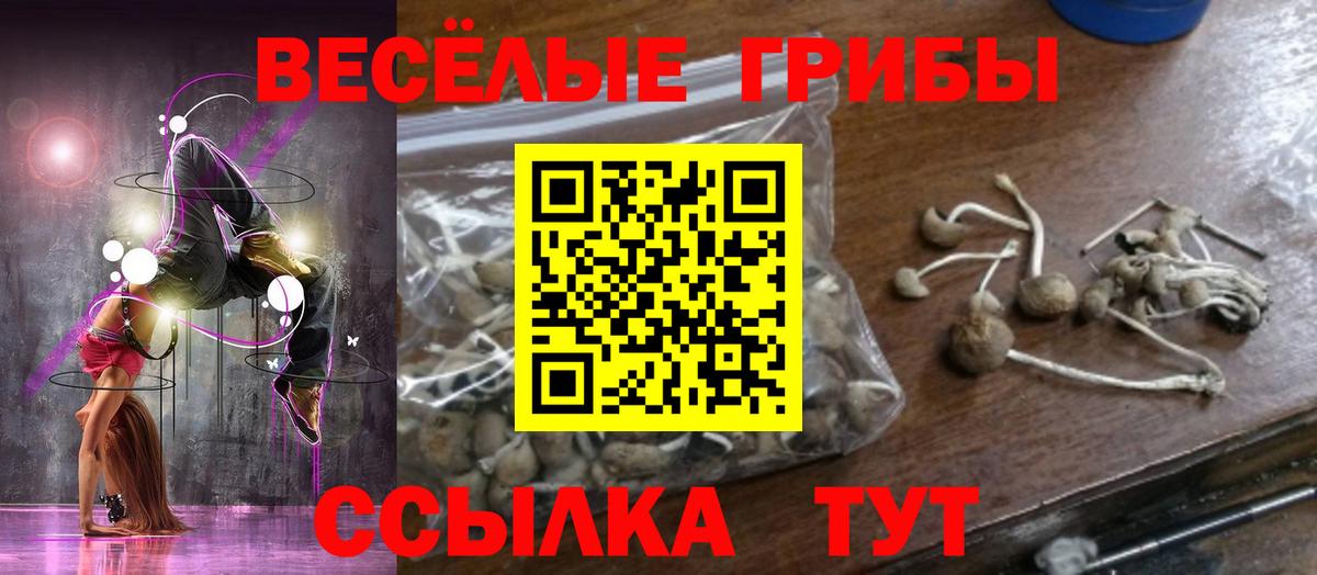 Псилоцибиновые грибы GOLDEN TEACHER Знаменск